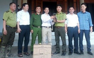 Hà Tĩnh: Vườn quốc gia Vũ Quang tiếp nhận cá thể voọc chà vá chân nâu quý hiếm