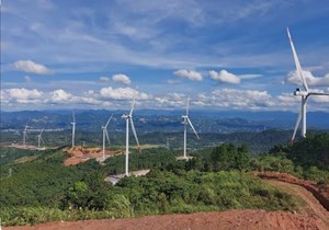 Quảng Trị: Thu hút thêm hai dự án điện gió trị giá hơn 3.000 tỷ đồng