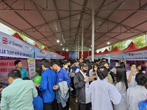 Hà Tĩnh: Chương trình Ngày hội việc làm thanh niên năm 2024