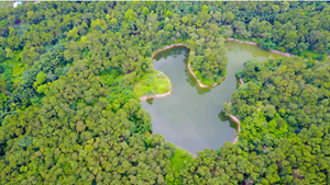 Vườn Thực vật – “Kho báu xanh” giữa lòng Thủ đô