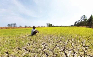 Độ mặn miền Tây tăng và duy trì đến hết tháng 3