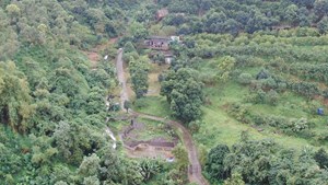 Hà Nội tái cấu trúc không gian, mở lối cho những cánh rừng đô thị