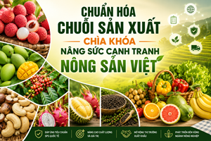 Chuẩn hóa chuỗi sản xuất - Chìa khóa nâng sức cạnh tranh nông sản Việt