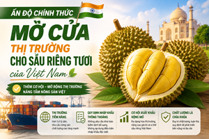 Sầu riêng Việt Nam chính thức có thêm “tấm vé” vào thị trường Ấn Độ