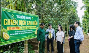 Từ mã số vùng trồng đến “hộ chiếu số” cho nông sản Đắk Lắk