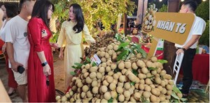 Nông sản Hưng Yên tìm “đường băng” trên thị trường số
