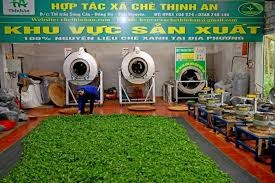 Hợp tác xã Chè Thịnh An: Đa dạng hóa, nâng tầm sản phẩm từ cây chè