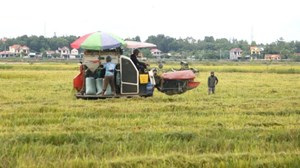 Nông nghiệp phát thải thấp: Hướng đi xanh cho tương lai bền vững