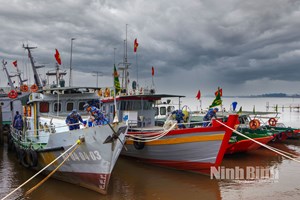 Chủ động ứng phó bão số 14: Ninh Bình triển khai biện pháp phòng chống