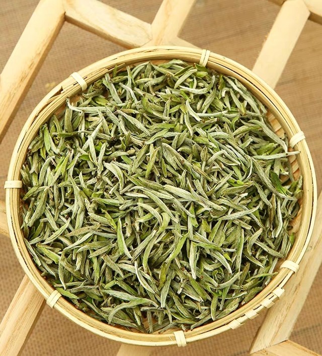 Bạch Tr&#224; Shan tuyết Việt Nam - Ảnh 1