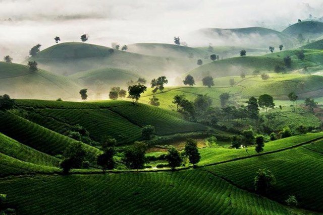 Xuất khẩu tại chỗ mở ra c&aacute;ch tiếp cận mới, gi&uacute;p ng&agrave;nh ch&egrave; Việt giảm chi ph&iacute;, tăng gi&aacute; trị gia tăng v&agrave; hội nhập s&acirc;u chuỗi to&agrave;n cầu.