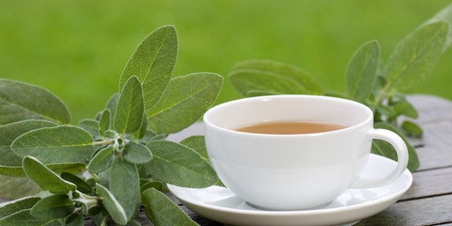 Lợi &#237;ch th&#250; vị của tr&#224; x&#244; thơm  - Ảnh 8