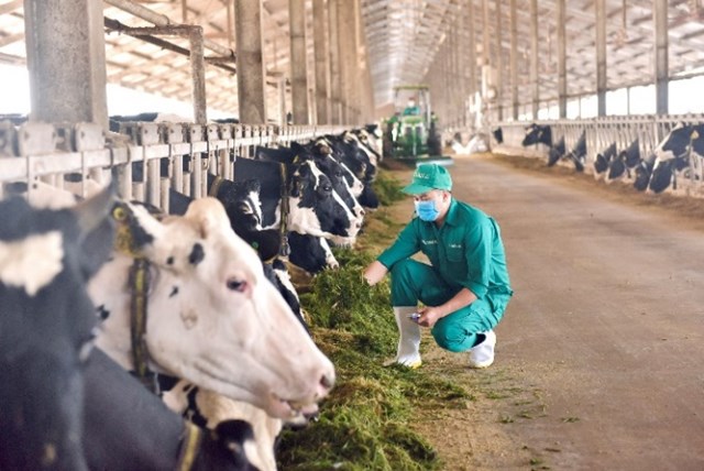 Vinamilk c&#243; sản phẩm sữa tươi đầu ti&#234;n tr&#234;n thế giới được chứng nhận từ tổ chức Clean Label Project của Mỹ - Ảnh 2