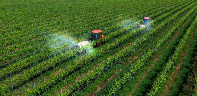 Chuyển mình sang "Kinh tế nông nghiệp": Chìa khóa giúp xuất khẩu nông lâm thủy sản thăng hoa - Ảnh 2