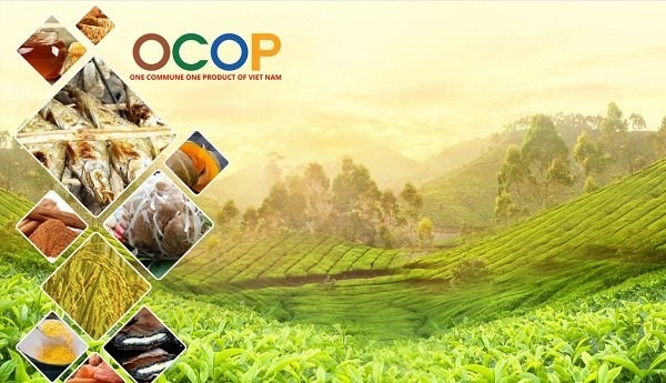 OCOP Việt Nam: Khi hồn đất và khát vọng làng quê kiến tạo vị thế kinh tế mới - Ảnh 1