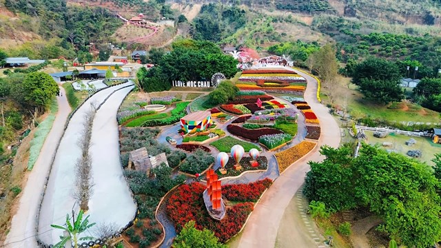 Ngày Văn hóa Trà Việt 2026 tại Mộc Châu         - Ảnh 3