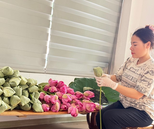 Vì sao trà sen Hiền Xiêm được người sành trà yêu thích? - Ảnh 4