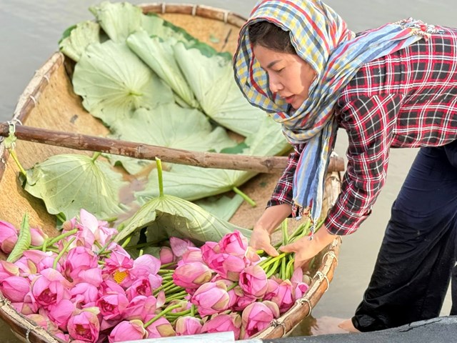Vì sao trà sen Hiền Xiêm được người sành trà yêu thích? - Ảnh 1