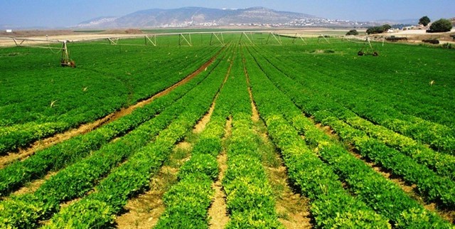 Kinh tế tuần hoàn trong ngành F&amp;B: Lời giải cho bài toán tăng trưởng xanh và bền vững - Ảnh 2