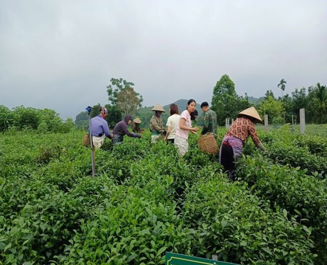 Năm 2026, với ch&egrave; OCOP, &ldquo;xanh&rdquo; kh&ocirc;ng chỉ l&agrave; y&ecirc;u cầu, m&agrave; l&agrave; con đường tất yếu để đi xa v&agrave; đi bền.
