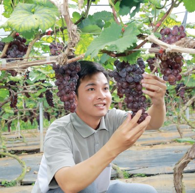 Mộc Ch&#226;u - Lời hẹn của m&#249;a xu&#226;n - Ảnh 5