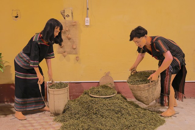 Sức sống trăm năm của Bảo tàng Chè cổ 1927 - Ảnh 3