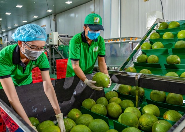 Xuất khẩu rau quả tăng mạnh trong th&aacute;ng đầu năm 2026.