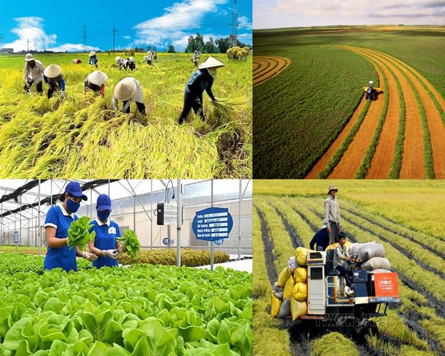 N&#244;ng sản Việt &quot;vững v&#224;ng&quot; trước nguy cơ chiến tranh thương mại - Ảnh 1