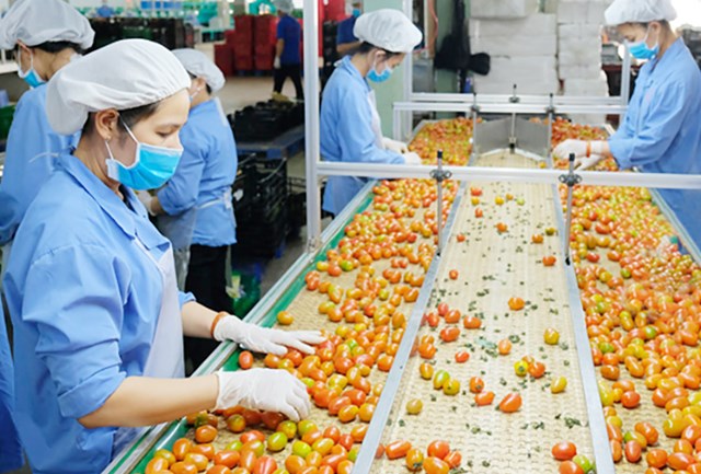 Nông sản Việt 2026: Hành trình chinh phục cột mốc 74 tỷ USD - Ảnh 1