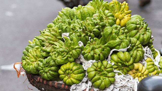 Phật thủ – hương sắc của phúc lành ngày Tết - Ảnh 2