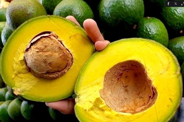 Bơ là nguồn cung cấp năng lượng tự nhiên cho cơ thể mà không lo bị tăng đường huyết sau khi ăn.