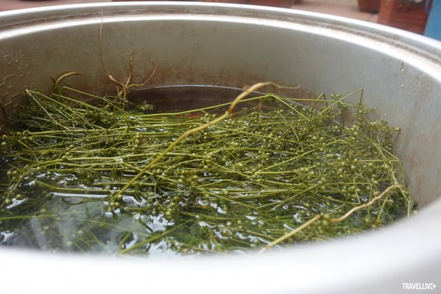 Nao nao hương mùi già - Hương vị không thể thiếu của Tết Việt - Ảnh 2