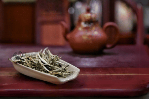 Bạch H&#224;o Ng&#226;n Ch&#226;m: &quot;Mỹ nh&#226;n trong c&#225;c danh tr&#224;&quot; - Ảnh 1