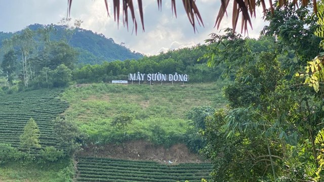 Đồi ch&egrave; đẹp nhất v&agrave; Suối Sườn Đ&ocirc;ng kh&ocirc;ng chỉ l&agrave; những điểm đến ấn tượng m&agrave; c&ograve;n mang đến cảm nhận s&acirc;u sắc về thi&ecirc;n nhi&ecirc;n h&ugrave;ng vĩ v&agrave; bản sắc văn h&oacute;a của v&ugrave;ng Trung du miền n&uacute;i ph&iacute;a Bắc.