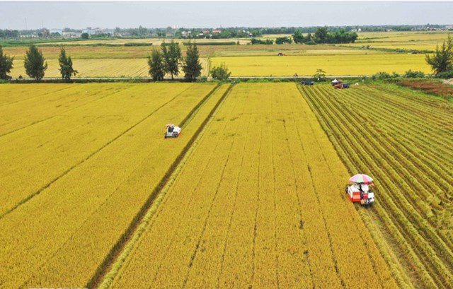 Năm 2025, n&ocirc;ng nghiệp Việt Nam lập kỷ lục 70,09 tỷ USD xuất khẩu, vượt xa mục ti&ecirc;u đề ra.