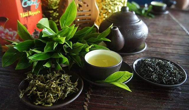 C&aacute;c sản phẩm ch&egrave; T&acirc;n Cương c&oacute; mặt ở hầu hết c&aacute;c cửa h&agrave;ng tr&agrave; truyền thống, si&ecirc;u thị v&agrave; cả những thương hiệu tr&agrave; cao cấp, đ&aacute;p ứng nhu cầu đa dạng của người ti&ecirc;u d&ugrave;ng.