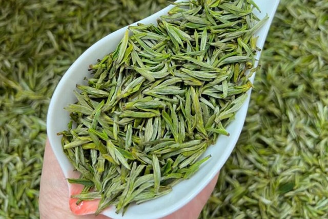 Ho&#224;ng Sơn Mao Phong – Hương vị tinh hoa từ d&#227;y n&#250;i huyền thoại - Ảnh 1