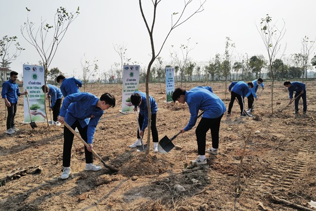 Dự &#225;n trồng c&#226;y hướng đến Net Zero Carbon ch&#237;nh thức khởi động - Ảnh 10