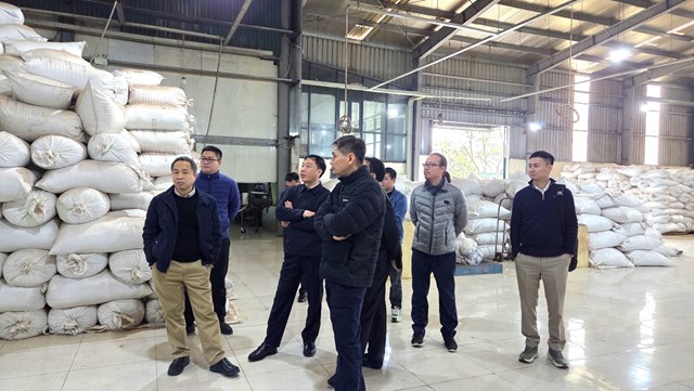 Ban Chấp h&agrave;nh Hiệp hội Ch&egrave; Việt Nam tham quan nh&agrave; m&aacute;y sản xuất C&ocirc;ng ty CP M&iacute;a Đường S&ocirc;ng Lam