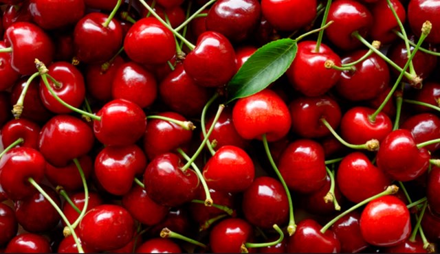 Sự phổ biến n&agrave;y kh&ocirc;ng chỉ do hương vị thơm ngon của cherry m&agrave; c&ograve;n bởi m&agrave;u đỏ quyến rũ.