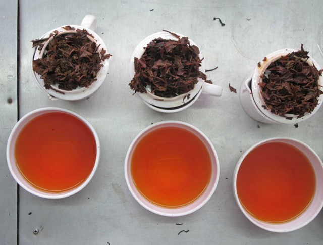 Khi nhấp ngụm trà Darjeeling, người uống kh&ocirc;ng chỉ cảm nhận vị ngọt nho hay mật ong dịu nhẹ, m&agrave; c&ograve;n thưởng thức trọn vẹn tinh hoa thi&ecirc;n nhi&ecirc;n v&ugrave;ng n&uacute;i cao.