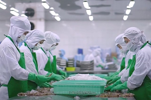 Xuất khẩu nông lâm thủy sản khởi sắc đầu năm 2026 - Ảnh 2