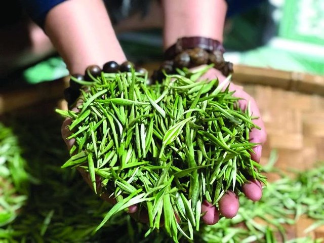 Liên kết để bứt phá: Lối đi mới cho chuỗi giá trị ngành chè  - Ảnh 1