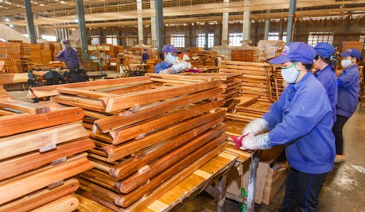 Dự &#225;n nh&#224; m&#225;y sản xuất, chế biến gỗ gần 1.000 tỷ đồng được B&#236;nh Định chấp thuận chủ trương đầu tư - Ảnh 1