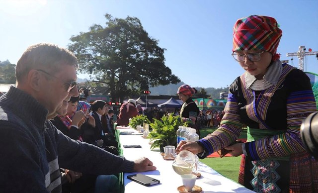 Trà Shan tuyết và cơ hội phát triển kinh tế vùng cao - Ảnh 1