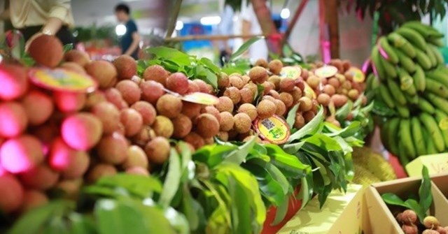 Tiềm năng xuất khẩu rau quả Việt Nam sang thị trường ch&#226;u &#193; - Ảnh 1