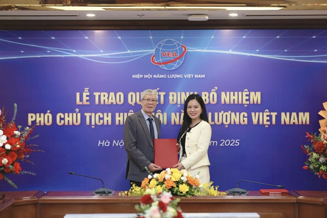 L&atilde;nh đạo Hiệp hội Năng lượng Việt Nam trao quyết định bổ nhiệm chức danh Ph&oacute; Chủ tịch Hiệp hội cho b&agrave; Nguyễn Thị Thanh B&igrave;nh, Ph&oacute; Tổng Gi&aacute;m đốc T&amp;T Group, Chủ tịch T&amp;T Energy. &nbsp;