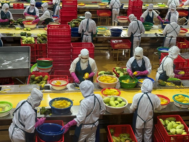 Nông nghiệp Việt Nam bước vào kỷ nguyên xuất khẩu tri thức và di sản - Ảnh 2