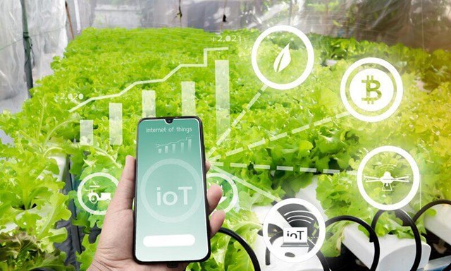  Blockchain và AI - chìa khóa đưa nông sản Việt chạm mốc 100 tỷ USD - Ảnh 2