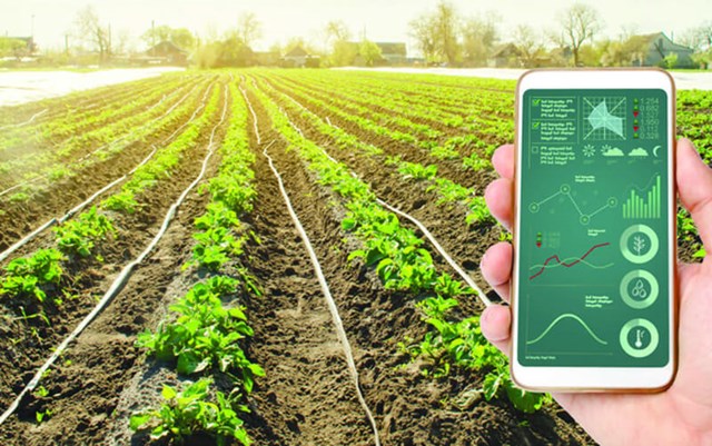  Blockchain và AI - chìa khóa đưa nông sản Việt chạm mốc 100 tỷ USD - Ảnh 1